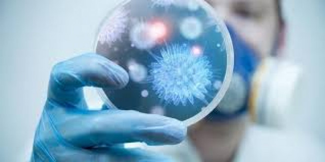 20180720143304.jpg, фото