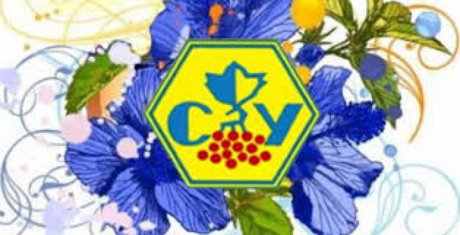 20181126094215.png, фото