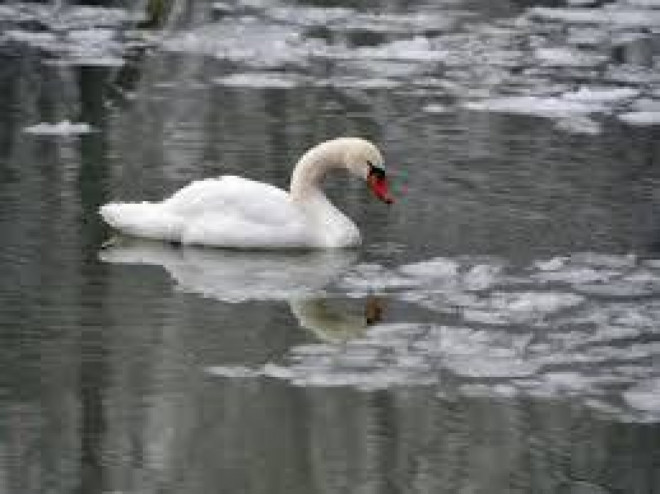 20190111105033.jpg, фото