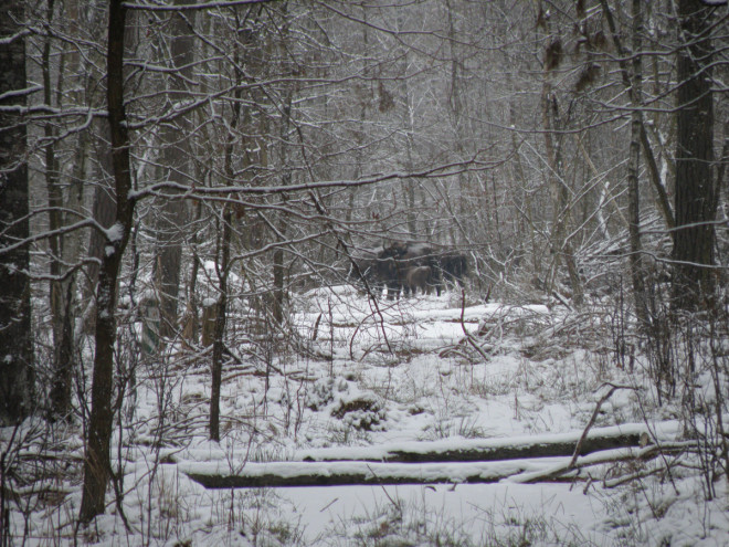 20190207101213.JPG, фото