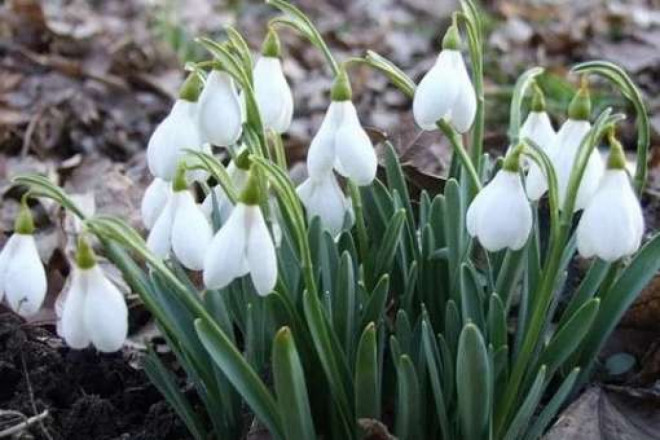 20190220120806.jpg, фото