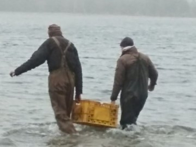 20191121112011.jpg, фото