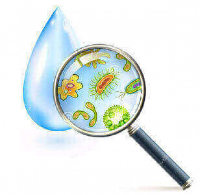 20191121121919.jpg, фото