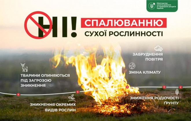 20210921165508.jpg, фото