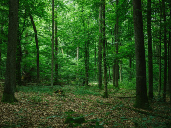 20220616150336.jpg, фото