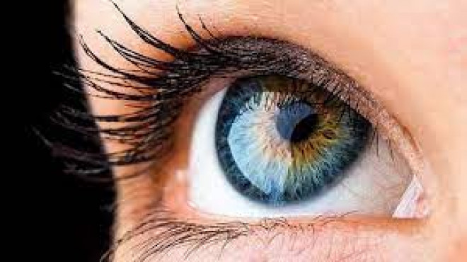 20231012104554.jpg, фото