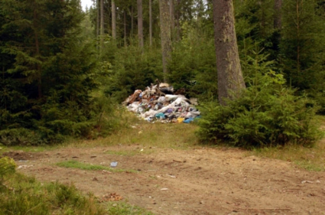 20180904121329.jpg, фото