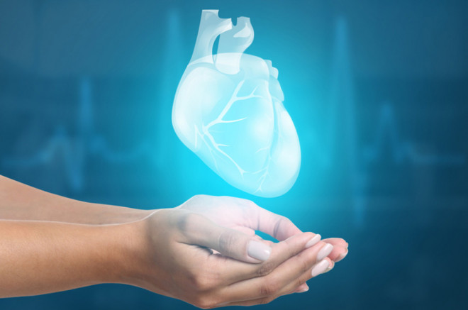 20181019122155.jpg, фото