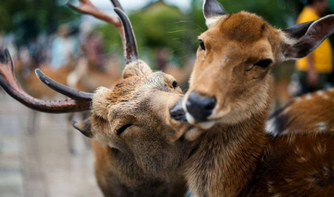 20190401113958.jpg, фото