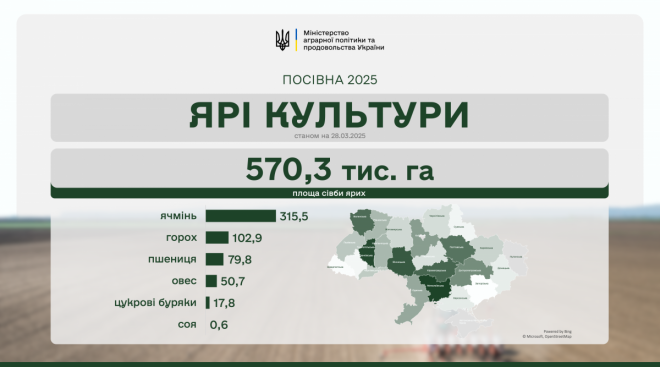 20250328122211.png, фото