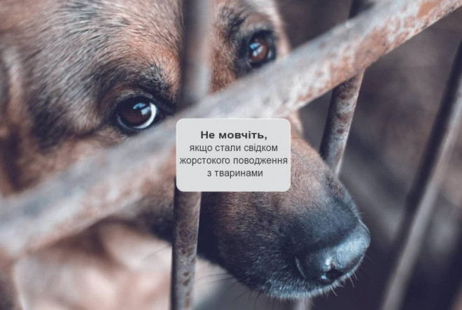 20250410143323.jpg, фото