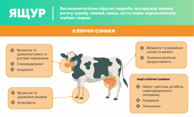 20250411145815.png, фото