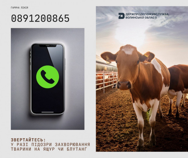 20250423164258.jpg, фото