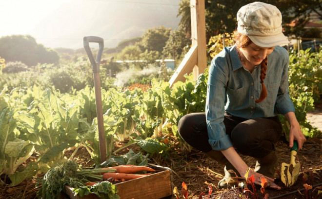 20250425133227.jpg, фото