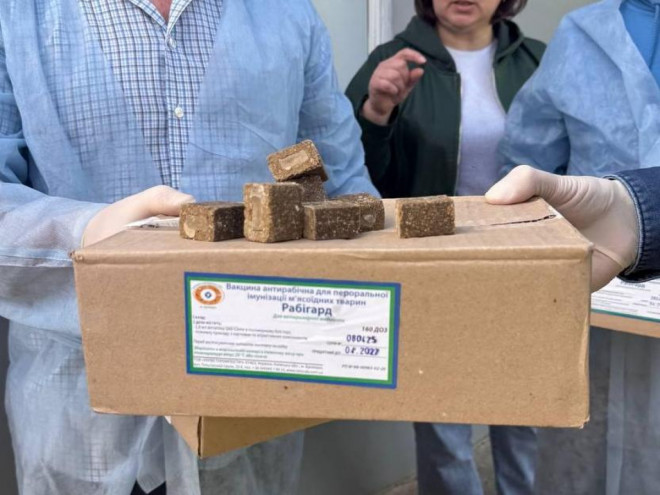 20250505152021.jpeg, фото