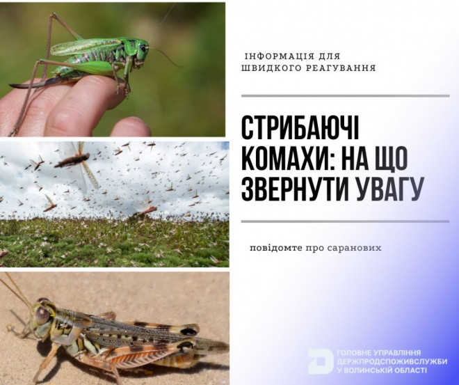 20250804123944.jpg, фото