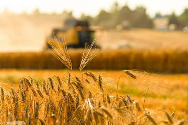 20250815162056.jpg, фото