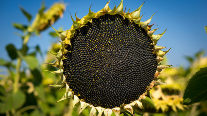 20250905160822.jpg, фото