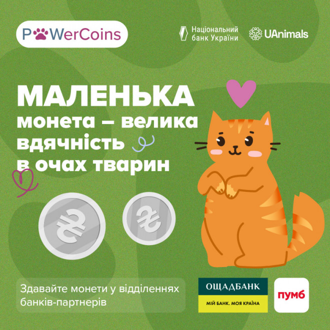 20250923115431.jpg, фото