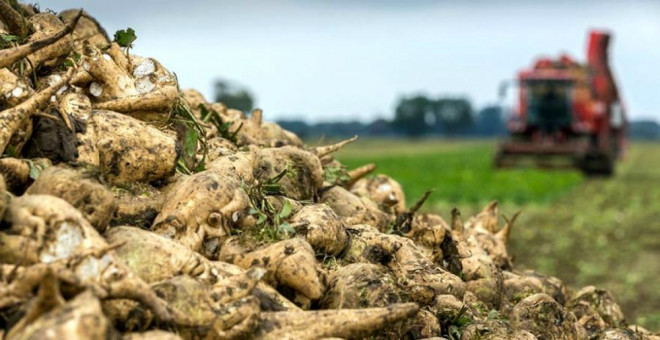 20250923122814.jpg, фото