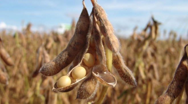 20251004151808.jpg, фото