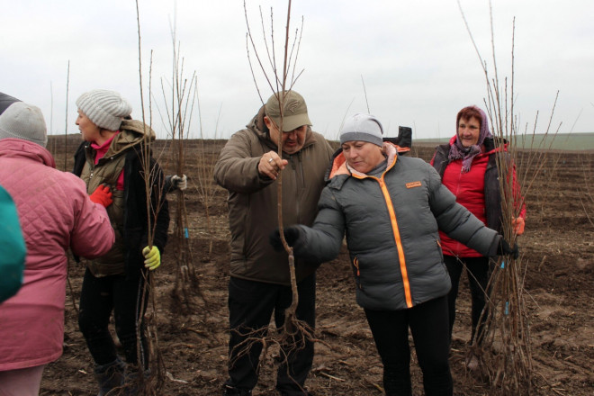 20251204165816.JPG, фото