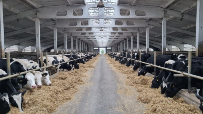 20251230172027.jpg, фото