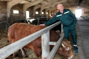 Підтримка тваринництва – один із пріоритетних напрямків для держави - Фото 1