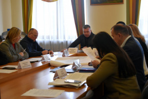 На Волині перевірили понад 4500 об’єктів на доступність: результати засідання Ради безбар’єрності - Фото 1