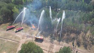 У Волинській області відбулись масштабні навчання з ліквідації лісової пожежі - Фото 1