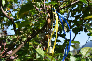 Голоси, які ніколи не пролунають: на Волині вшанували памʼять безневинних дітей, які загинули від російської агресії - Фото 1